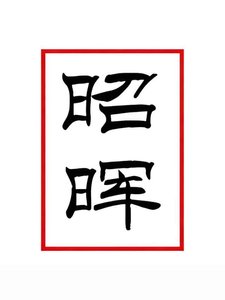 《昭昭向晖》