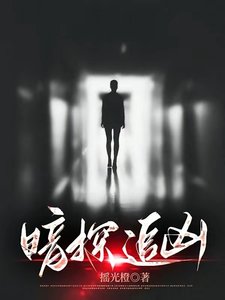《暗探追凶》