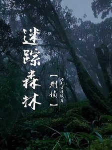 《迷踪森林【刑侦】》