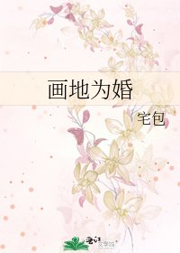 《画地为婚》
