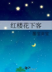 《红楼花下客》