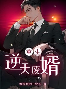 重生之逆天废婿