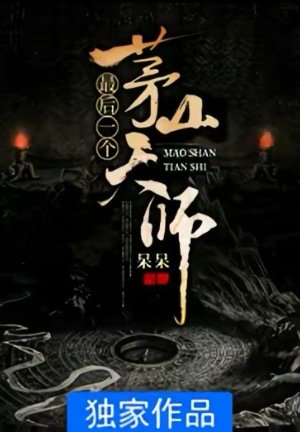 《最后一个茅山天师》