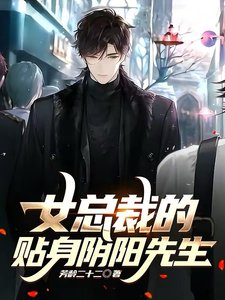 《女总裁的贴身阴阳先生》