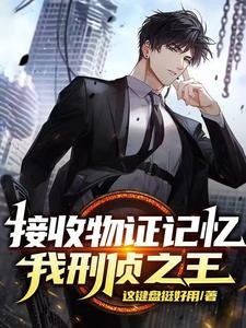 接收物证记忆,我,刑侦之王