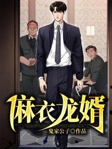 《麻衣龙婿》