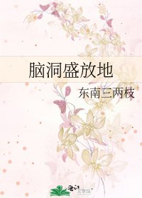 脑洞盛放地