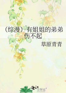《(综漫)有姐姐的弟弟伤不起》
