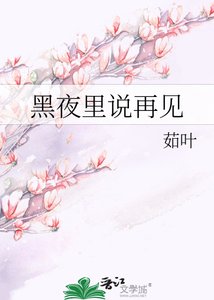 《黑夜里说再见》