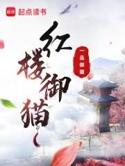 《红楼御猫》