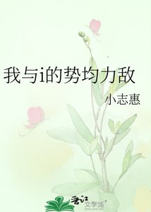 《我与i的势均力敌》