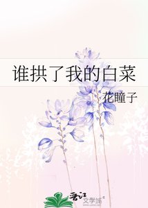 《谁拱了我的白菜》