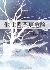 《热吻暮夜/他比罂粟更危险》
