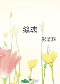 《缝魂》