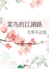 《菜鸟的江湖路》
