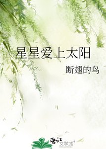 《星星爱上太阳》
