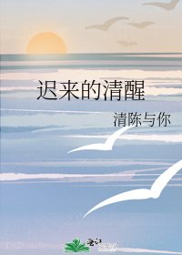 《迟来的清醒》