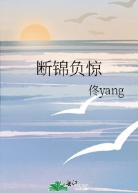 《断锦负惊》