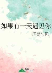 如果有一天遇见你