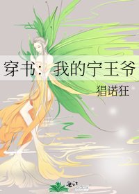 《穿书:我的宁王爷》