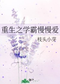 《重生之学霸慢慢爱》