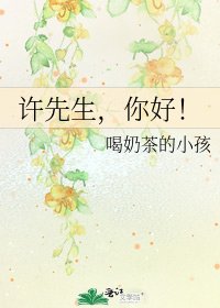 《许先生,你好!》