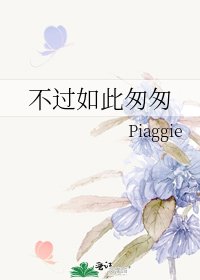 《不过如此匆匆》