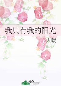 《我只有我的阳光》