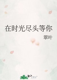 《在时光尽头等你》