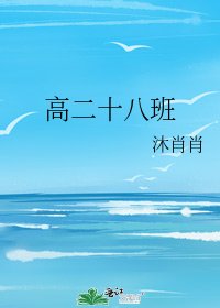 《高二十八班》