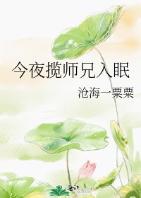 《今夜揽师兄入眠》