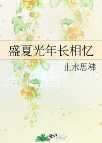 《盛夏光年长相忆》