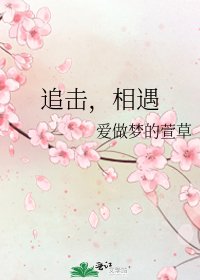 《追击,相遇》