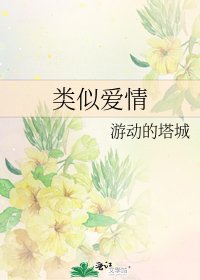 《类似爱情》