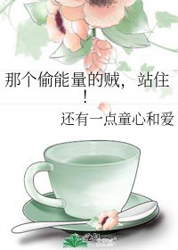 《那个偷能量的贼,站住!》