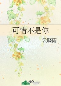 《可惜不是你》