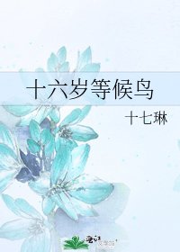 《十六岁等候鸟》