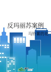 《反玛丽苏案例》