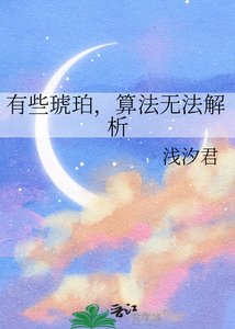 《有些琥珀,算法无法解析》