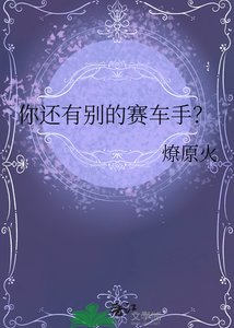 《你还有别的赛车手?》