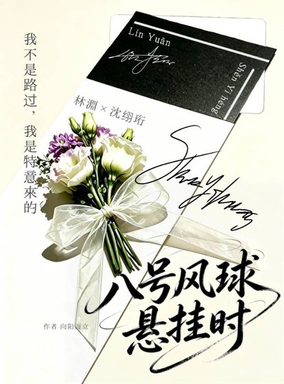 《八号风球悬挂时》