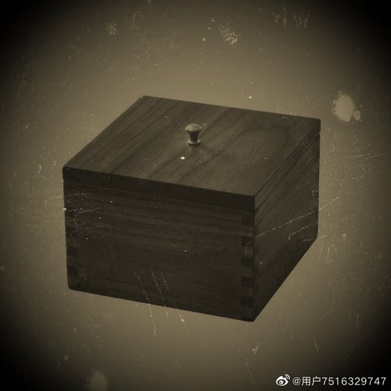 《阁楼之上的病娇男孩》