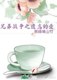 《兄弟战争之遗忘的爱》