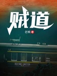 《贼道》