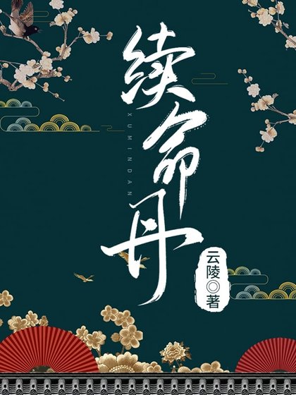 《续命丹》