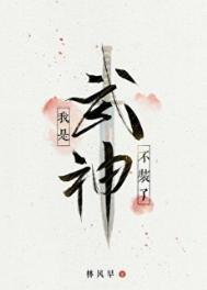 不装了，我是武神