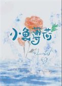 小鱼薄荷