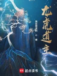 《龙虎道主》