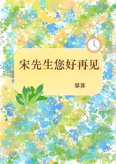 宋先生您好再见