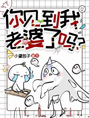 《你见到我老婆了吗?》